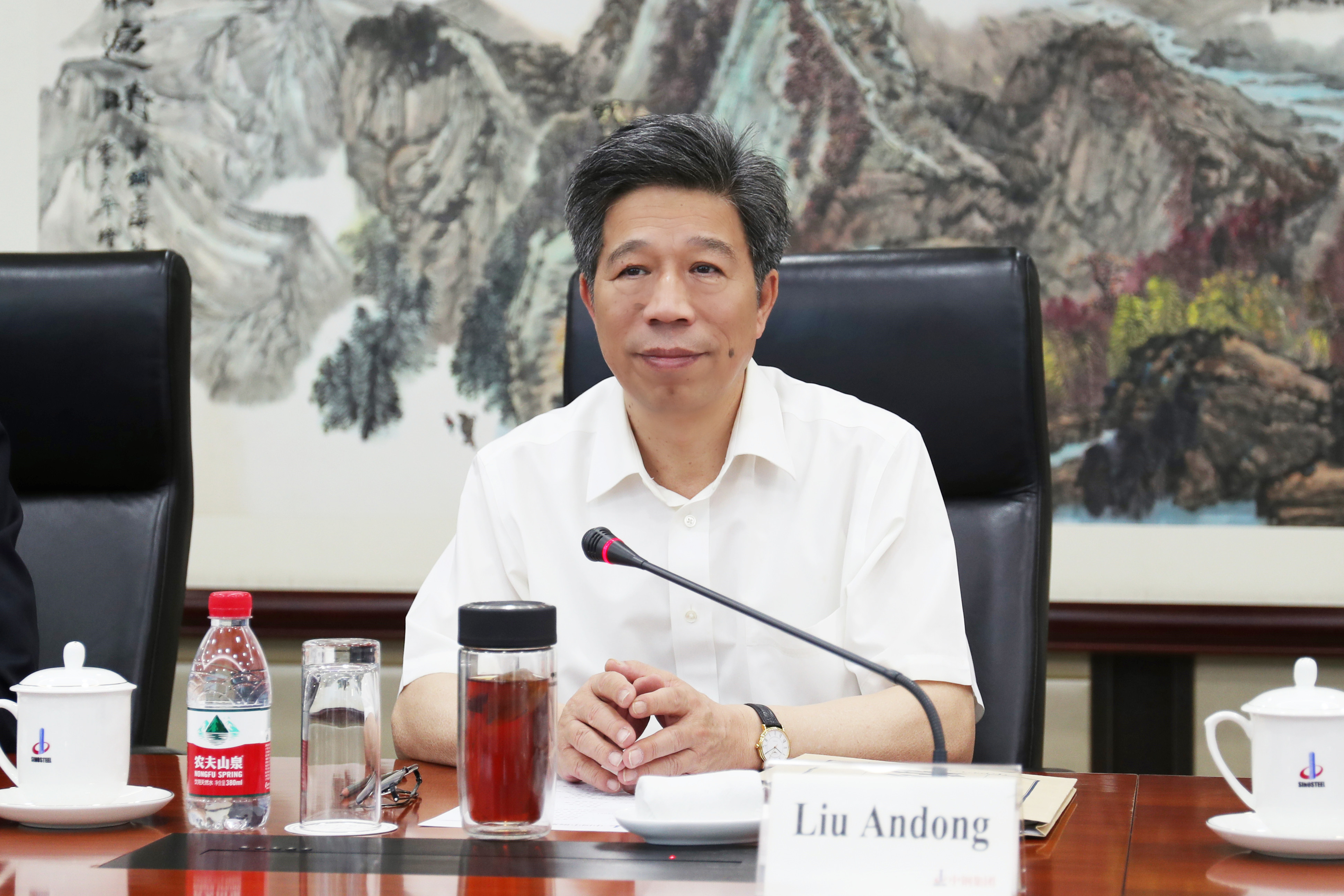 刘安栋同中钢铬系合资企业外方高管一行交流